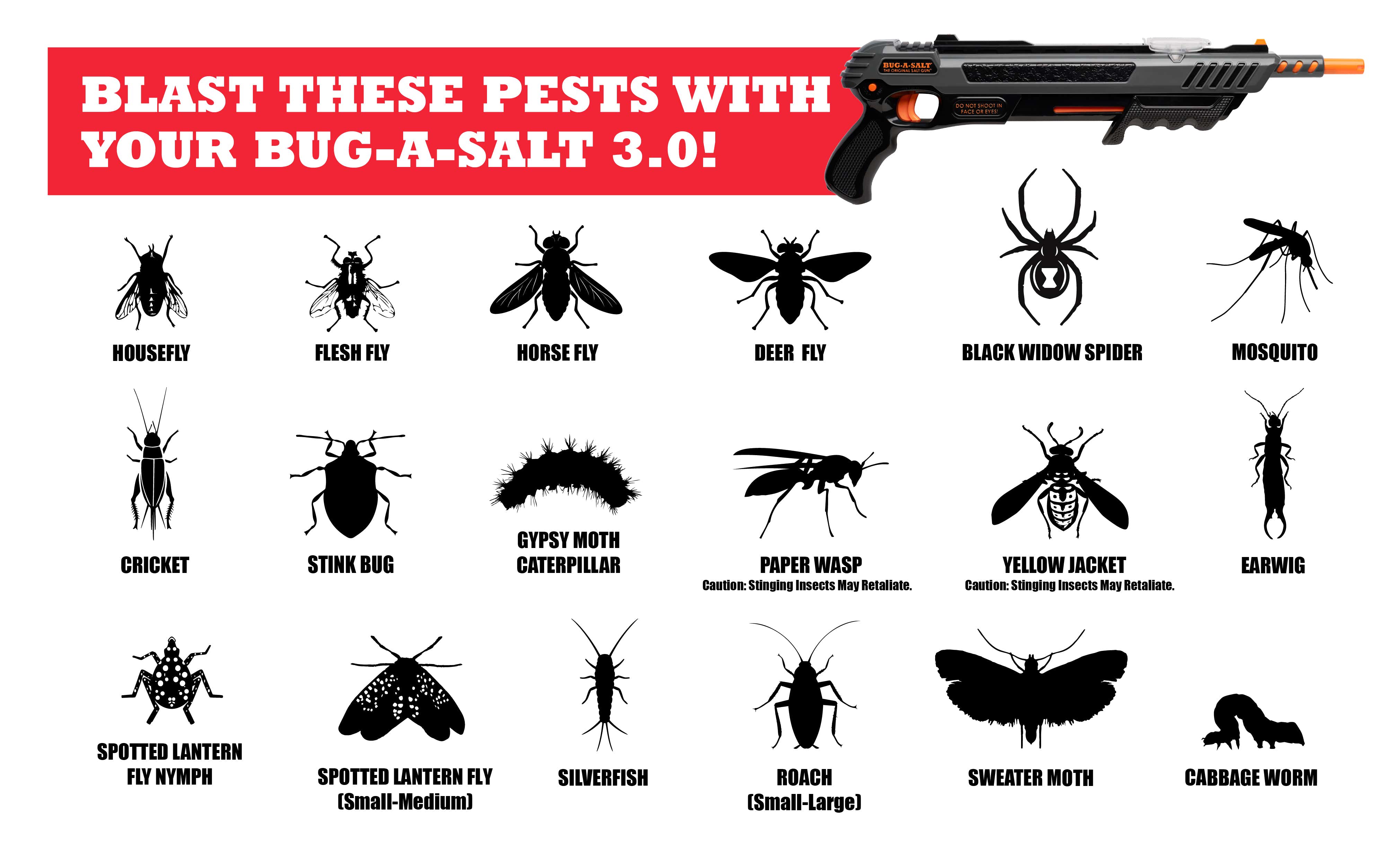 BLACK FLY EDITION 3.0